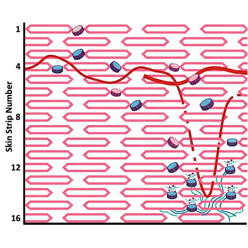 Advanced Penetration of Actives-4-500x500px