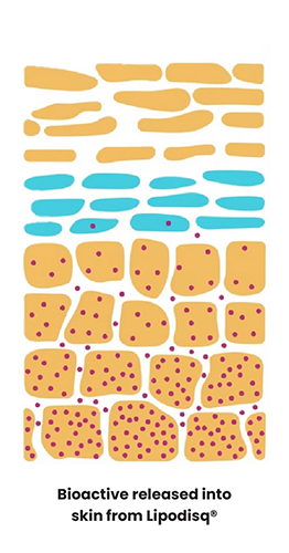 Annotated Skin Penetration Graphic-3